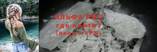 индика Верхний Тагил