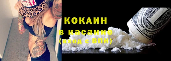 ГАЛЛЮЦИНОГЕННЫЕ ГРИБЫ Бородино
