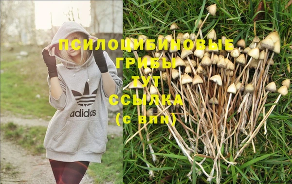 индика Верхний Тагил