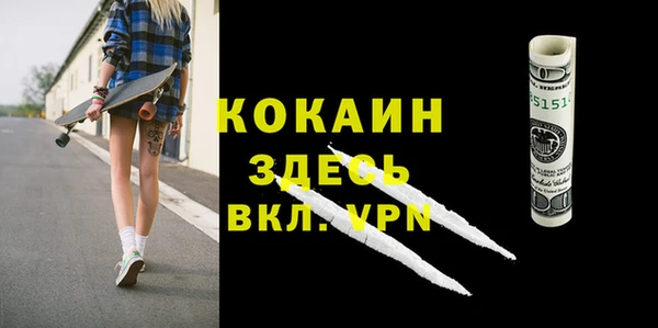 ГАЛЛЮЦИНОГЕННЫЕ ГРИБЫ Бородино