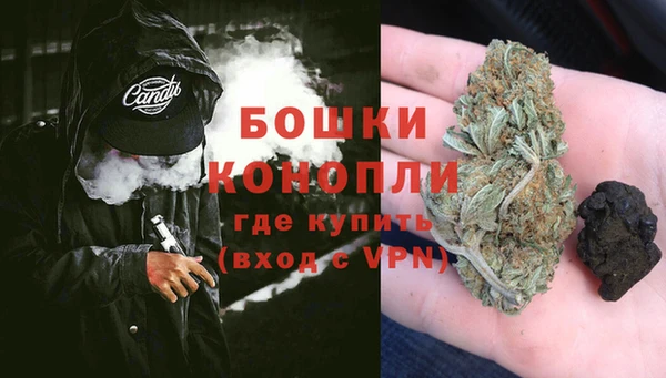 индика Верхний Тагил
