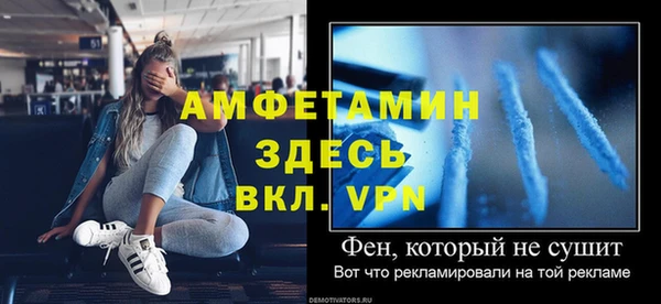 ГАЛЛЮЦИНОГЕННЫЕ ГРИБЫ Бородино